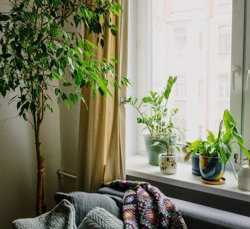 Tips for Creating a Cozy and Inviting Home Environment